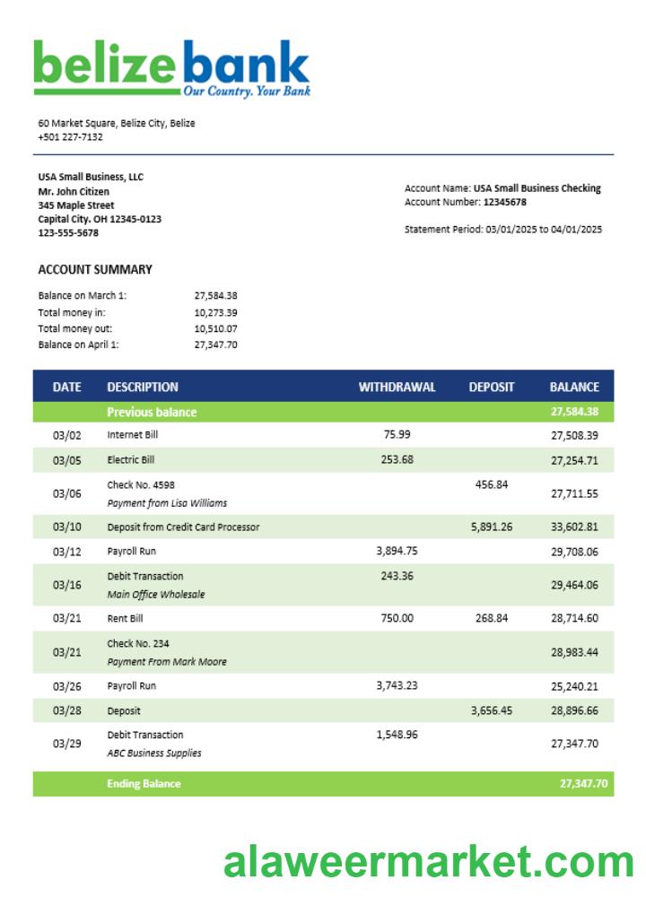Belizean bank company checking account statement Word and PDF template